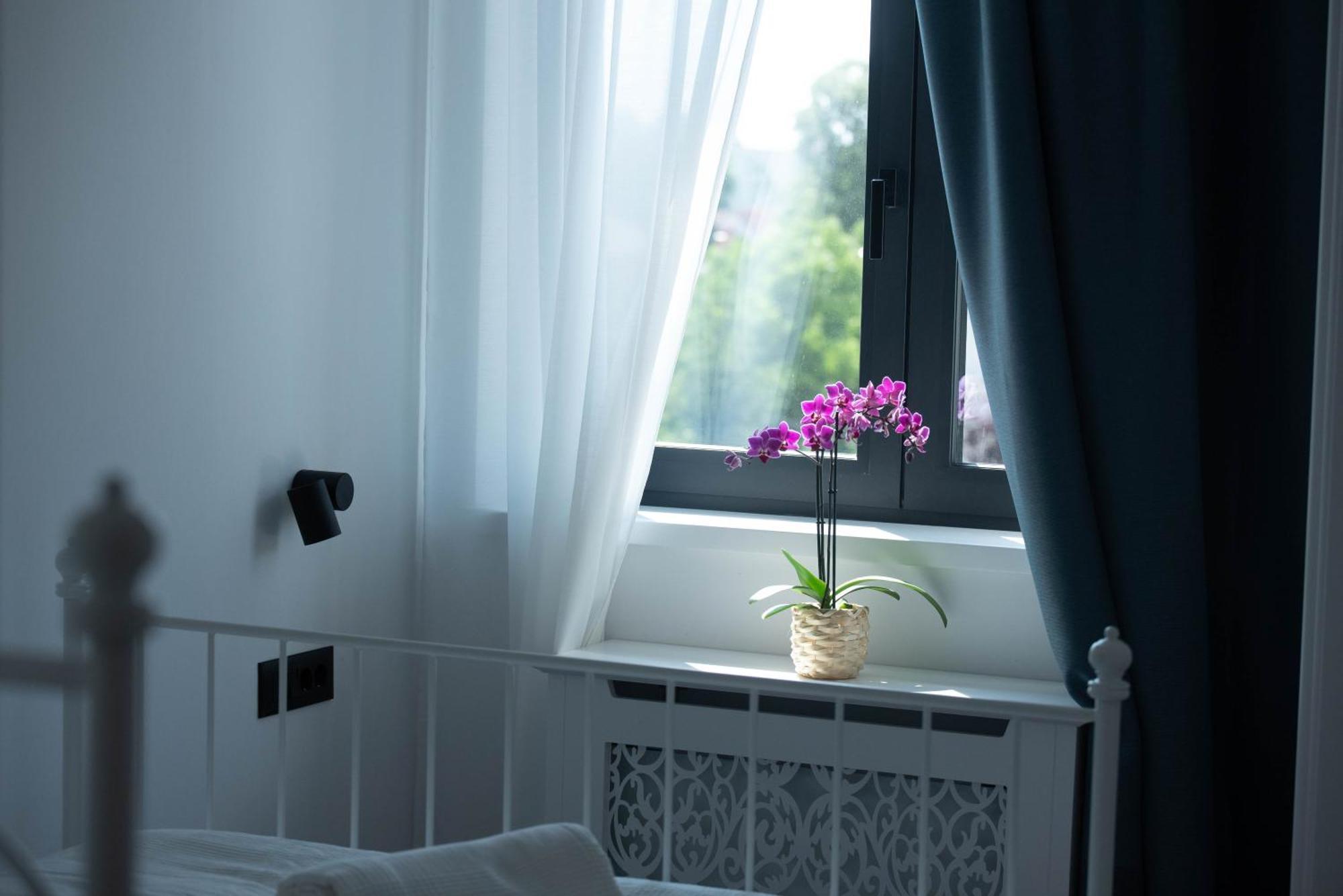 Benvenuti Apartments ベオグラード エクステリア 写真