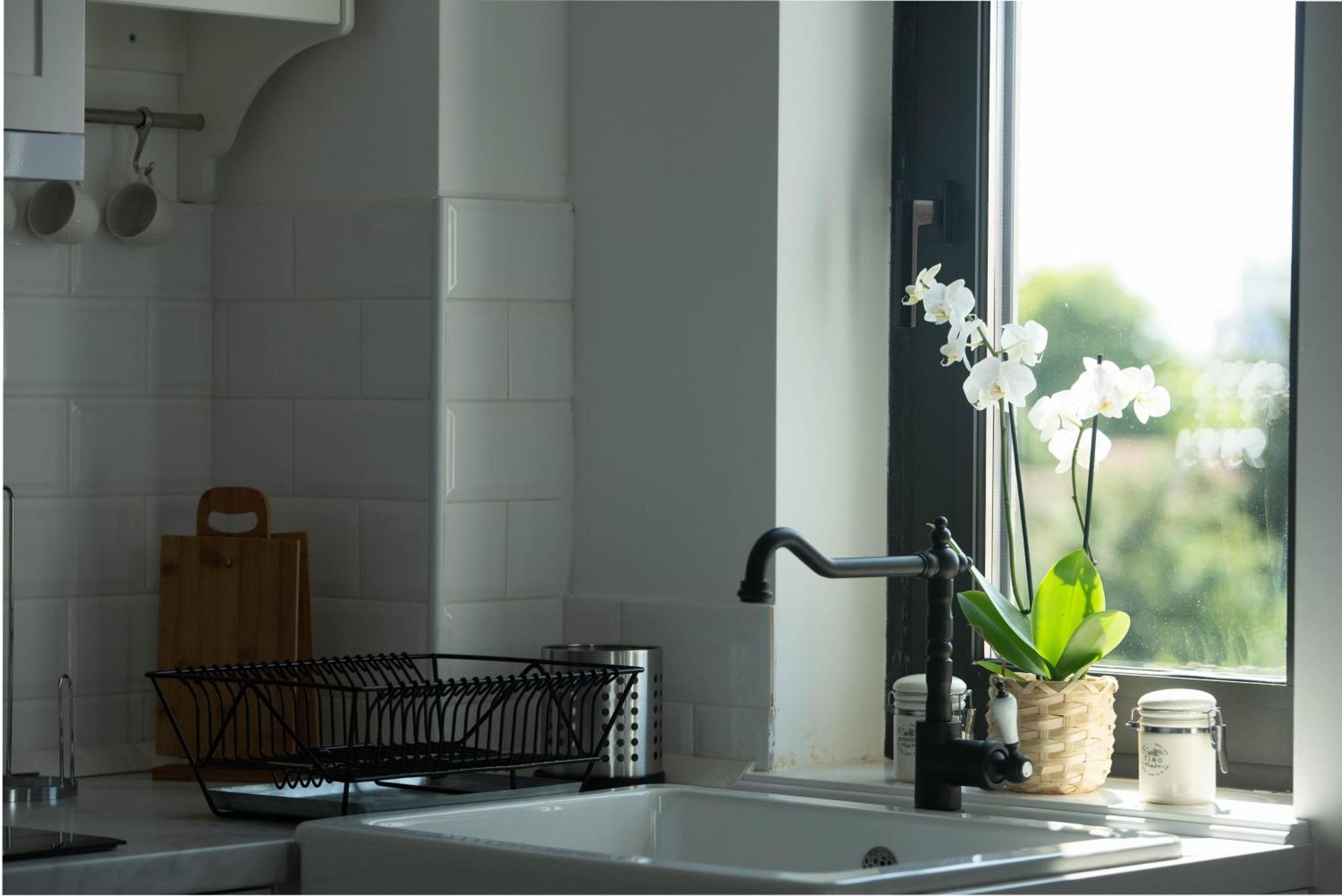 Benvenuti Apartments ベオグラード エクステリア 写真
